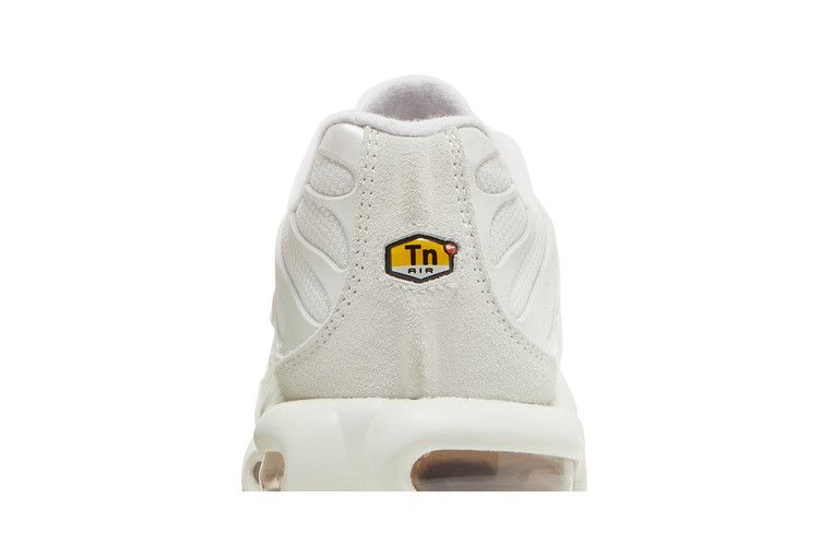 Nike Air Max Plus Vast Grey Metallic Copper (Women's)