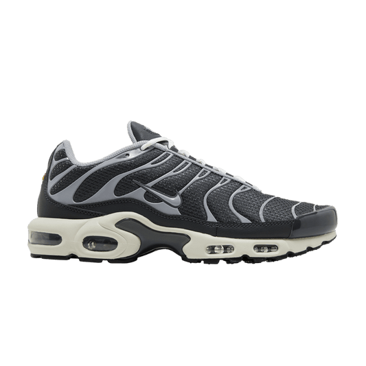 Nike Air Max Plus Greyscale Cool Grey