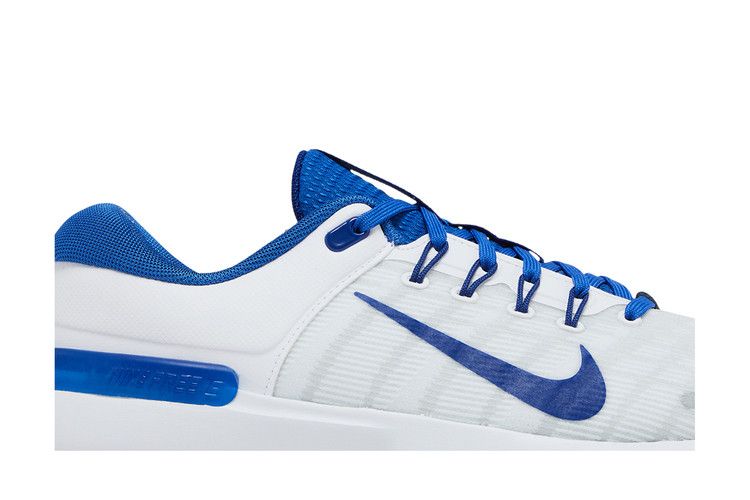 Nike Dunk Low Blue Airbrush Canvas (Women's)