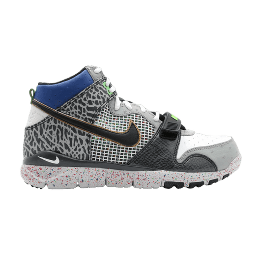 Nike Trainer Dunk High mita sneakers