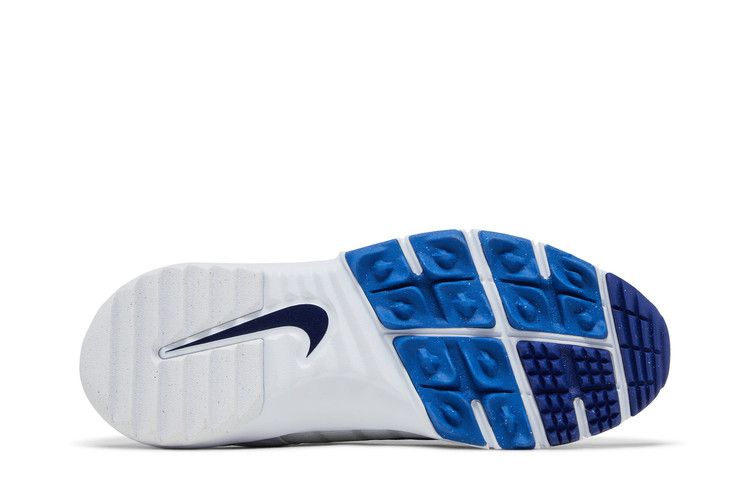 Nike Dunk Low Blue Airbrush Canvas (Women's)