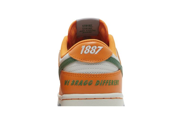 Nike Dunk Low FAMU