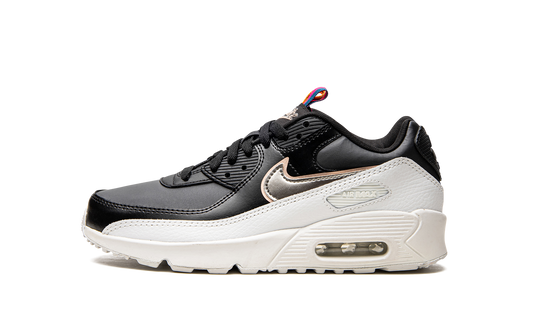 Air Max 90 LTR GS
