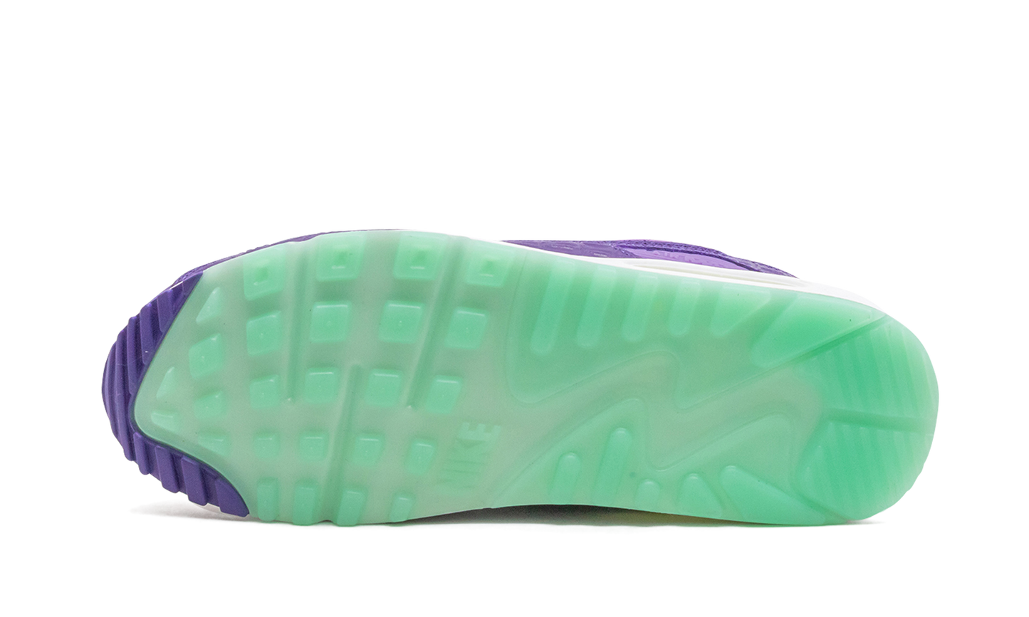 Air Max 90 "Animal Pack - Violet Blend"