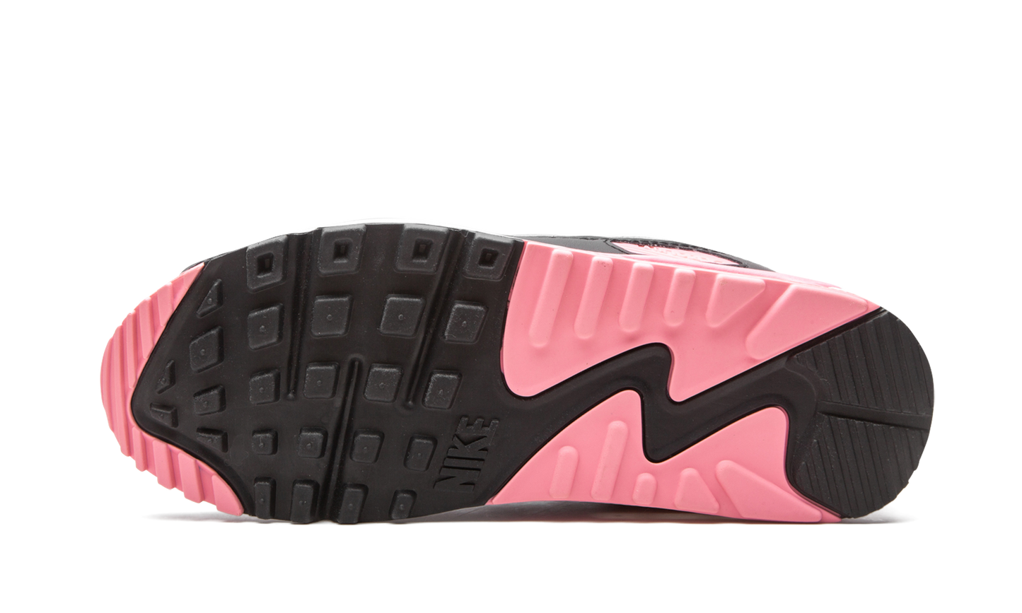 Air Max 90 W "Rose"