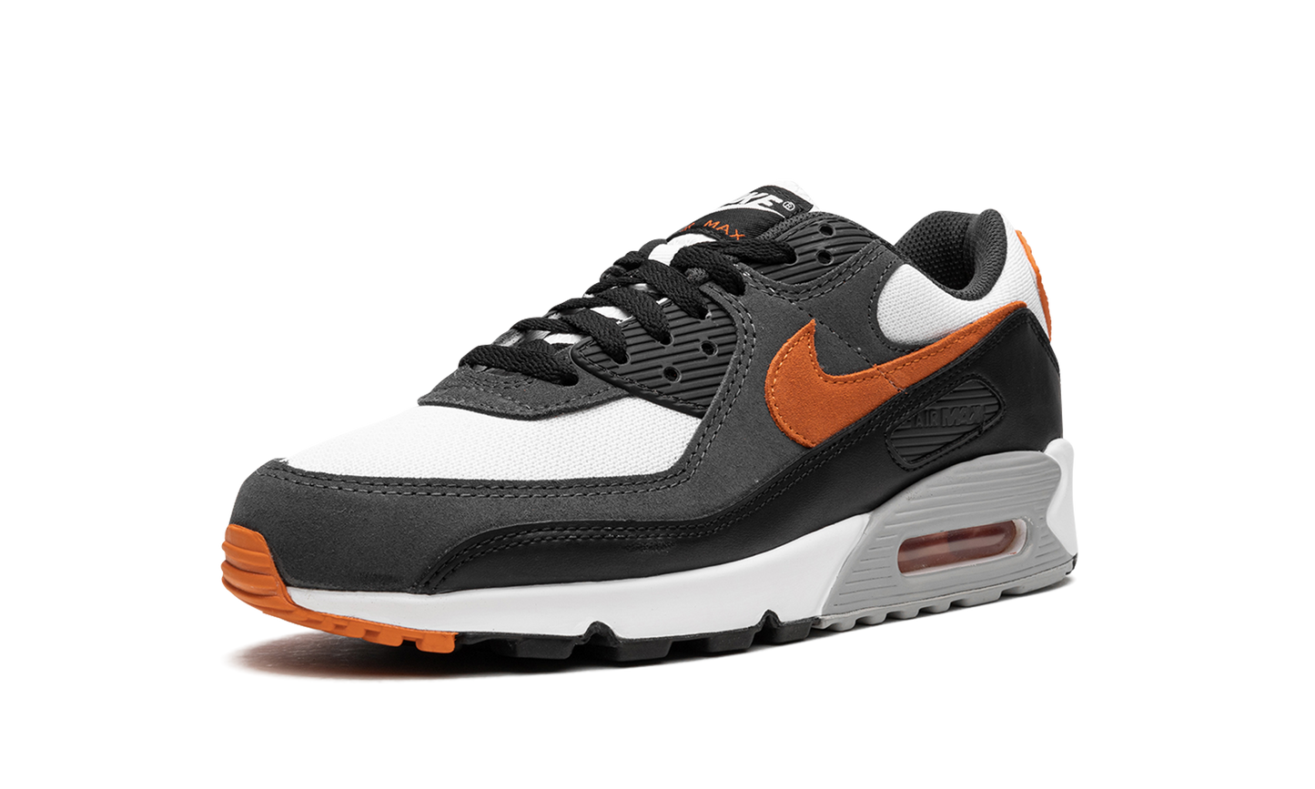 Air Max 90 "Starfish"