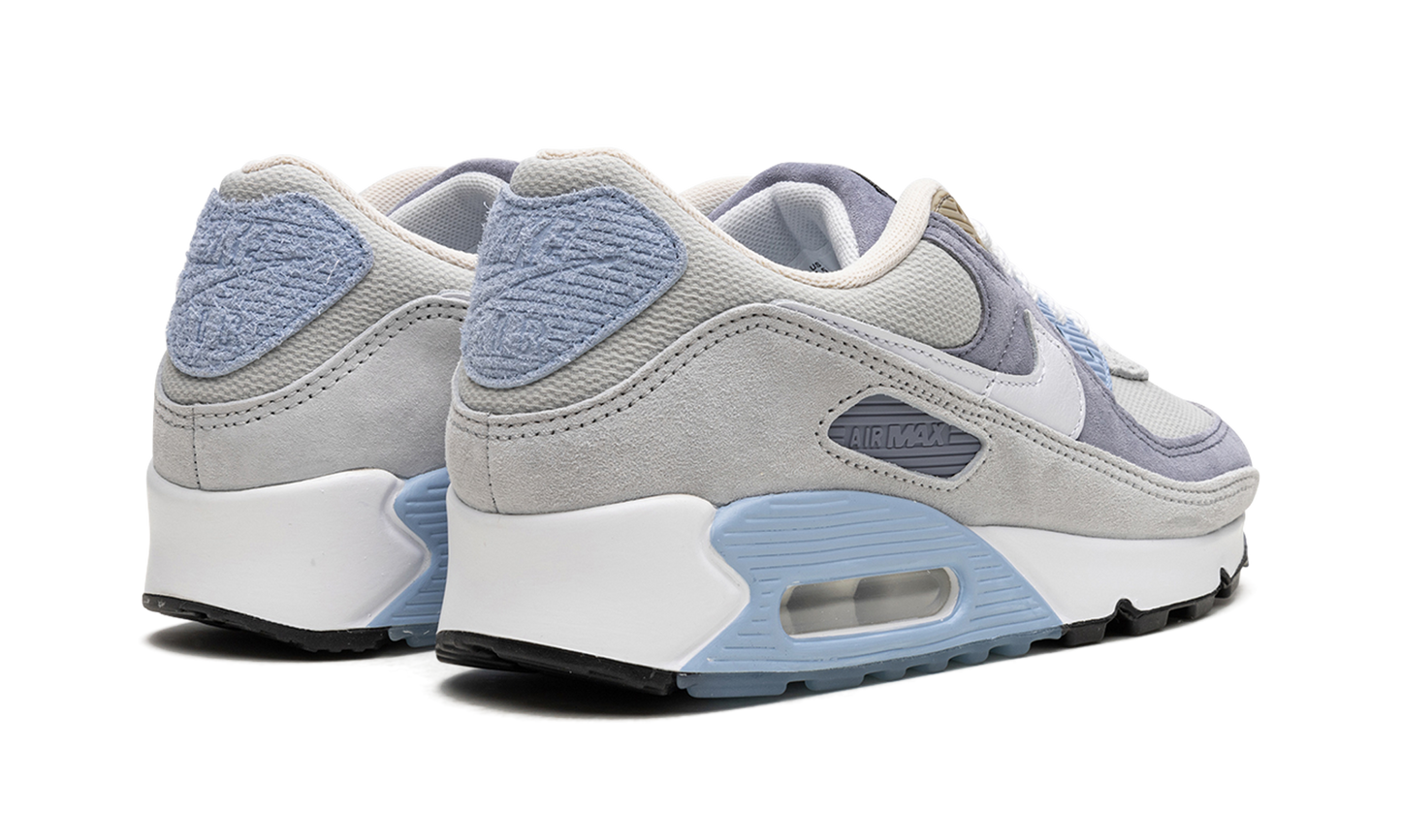 Air Max 90 "Ashen Slate"
